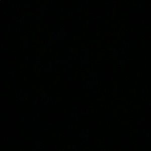 Meet your Posher, Noor